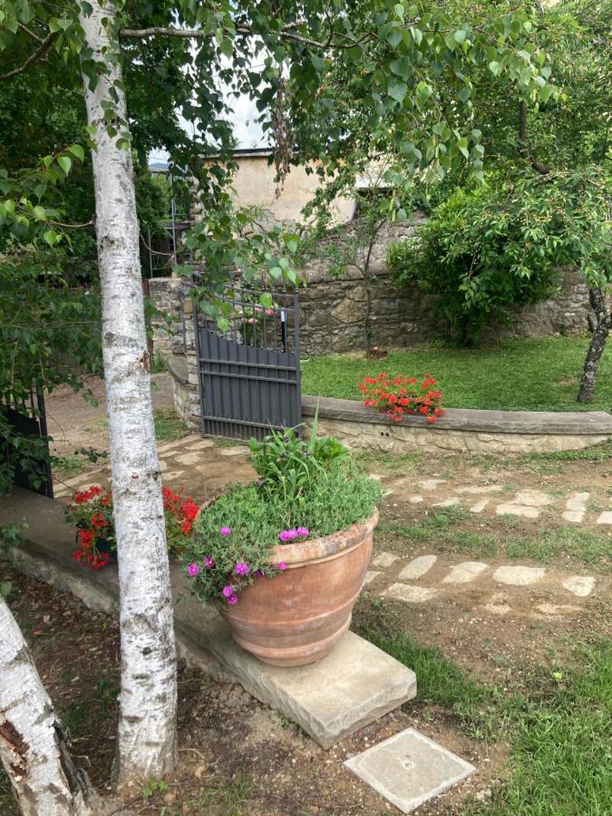 “Da Paolino” Villa Borgo alla Collina Kültér fotó